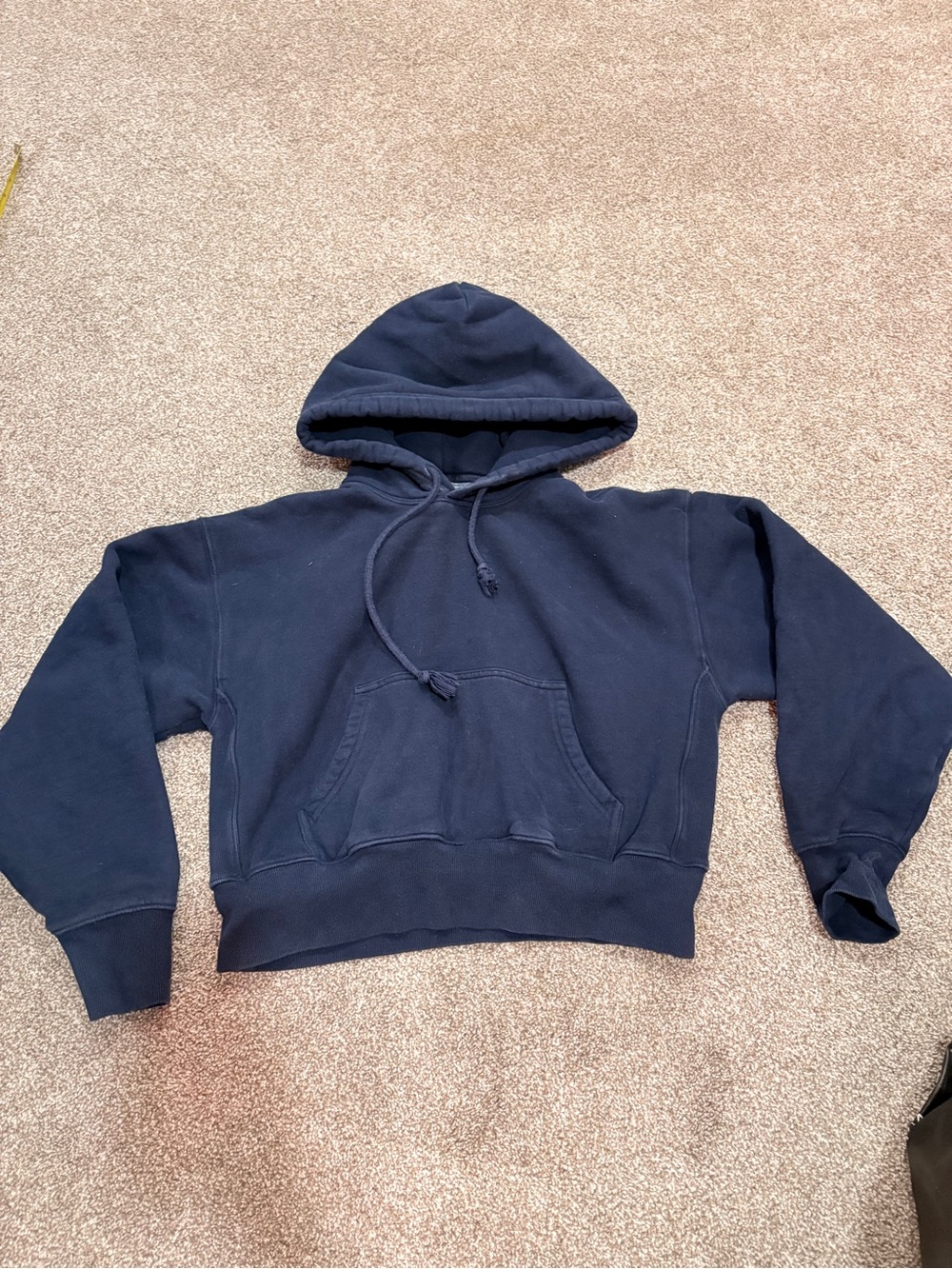 Aritzia Navy Hooded Sweater